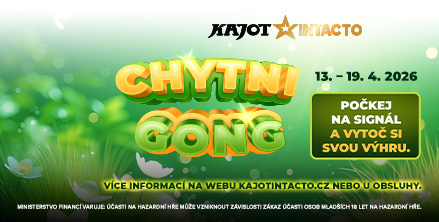 Chytni gong